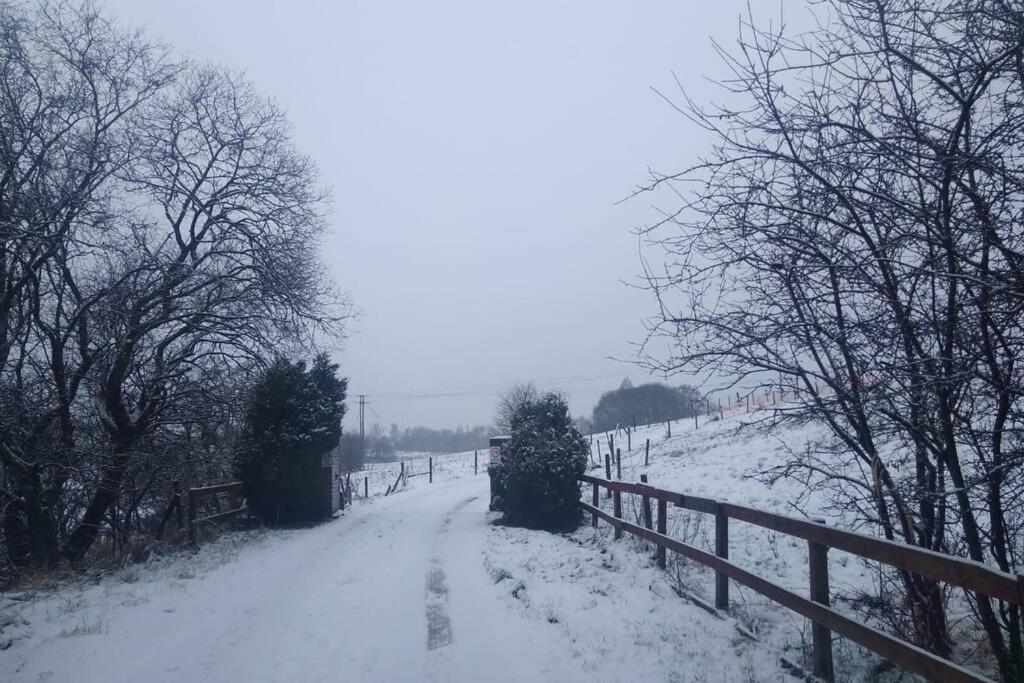 The Cottage - Hot Tub - Nr Glasgow - Self Check-In Coatbridge Exterior foto